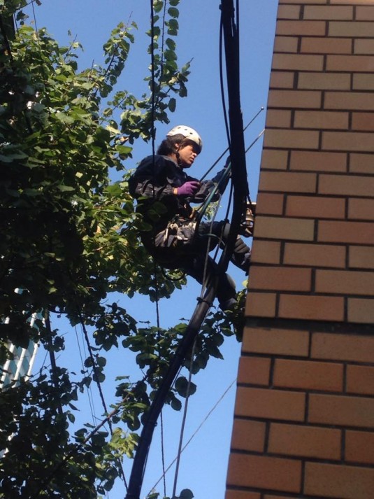 西新宿某マンション