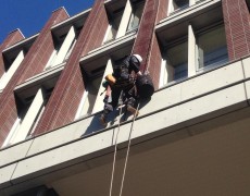 大妻中野女子中高等学校